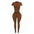 Her Ribbed Legging Essential Set